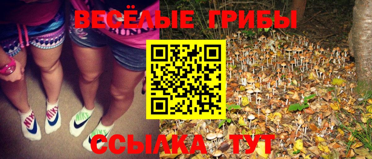 Галлюциногенные грибы MAGIC MUSHROOMS  Галлюциногенные грибы мицелий  Вход с VPN  Кольчугино 
